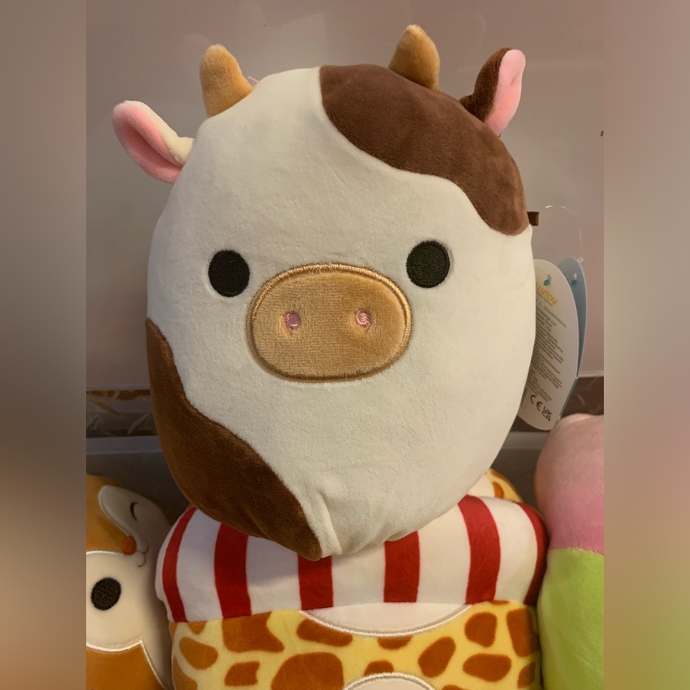 Brand new Ronnie Squishmallow